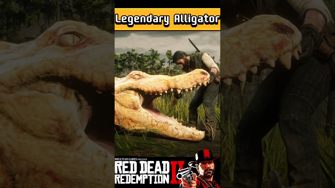 How To Hunt Legendary Alligator Bullgator RDR2 YouTube 