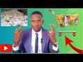 Dans Quoi Investir en Afrique avec un Petit Budget ?