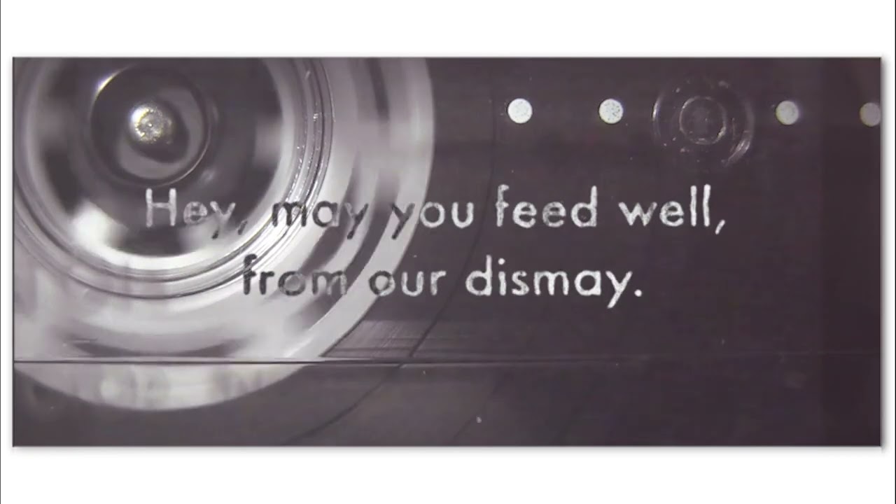 Animals of Plush - The Dick-Traitor (Lyric Video)