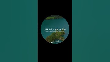 إن الذين آمنوا وعملوا الصالحات أولئك هم خير البرية ـ ماهر المعيقلي سورة البينة