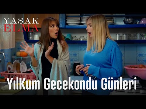 YılKum gecekondu günleri - Yasak Elma