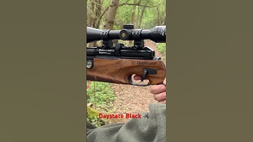 Daystate Black wolf #pcpairrifle #hunting #pcphunters #airgun #airgunhunters #airgunhunting