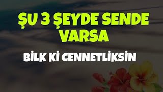 ŞU 3 ŞEY SADECE CENNETLİK KİMSELERDE BULUNUR - CENNET NASIL BİR YERDİR -VOLKAN AKSOY SOHBETLERİ