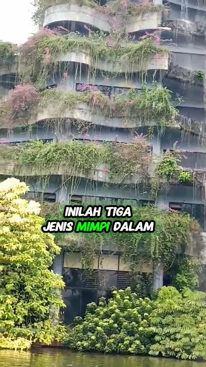 Tiga Jenis Mimpi dalam Pandangan Islam #misteri #faktaunik #mimpi #islamsedunia #tamanbuahmekarsari