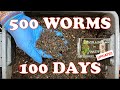 Compost Worm Bin After 100 Days   Early Checkin of Food Scraps vs Dry Oats |  Vermicompost Worm Farm