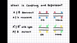 Chapter 7 - Question on Coupling & Repulsion