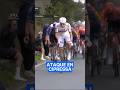 LA ÉPICA HISTORIA DE TADEJ EN MILÁN-SAN REMO. 🌈 #milanosanremo