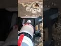 🤤🤤🤤 #asmr #oddlysatisfying #anxietyrelief #vacuumcleanersounds #vacuumasmr
