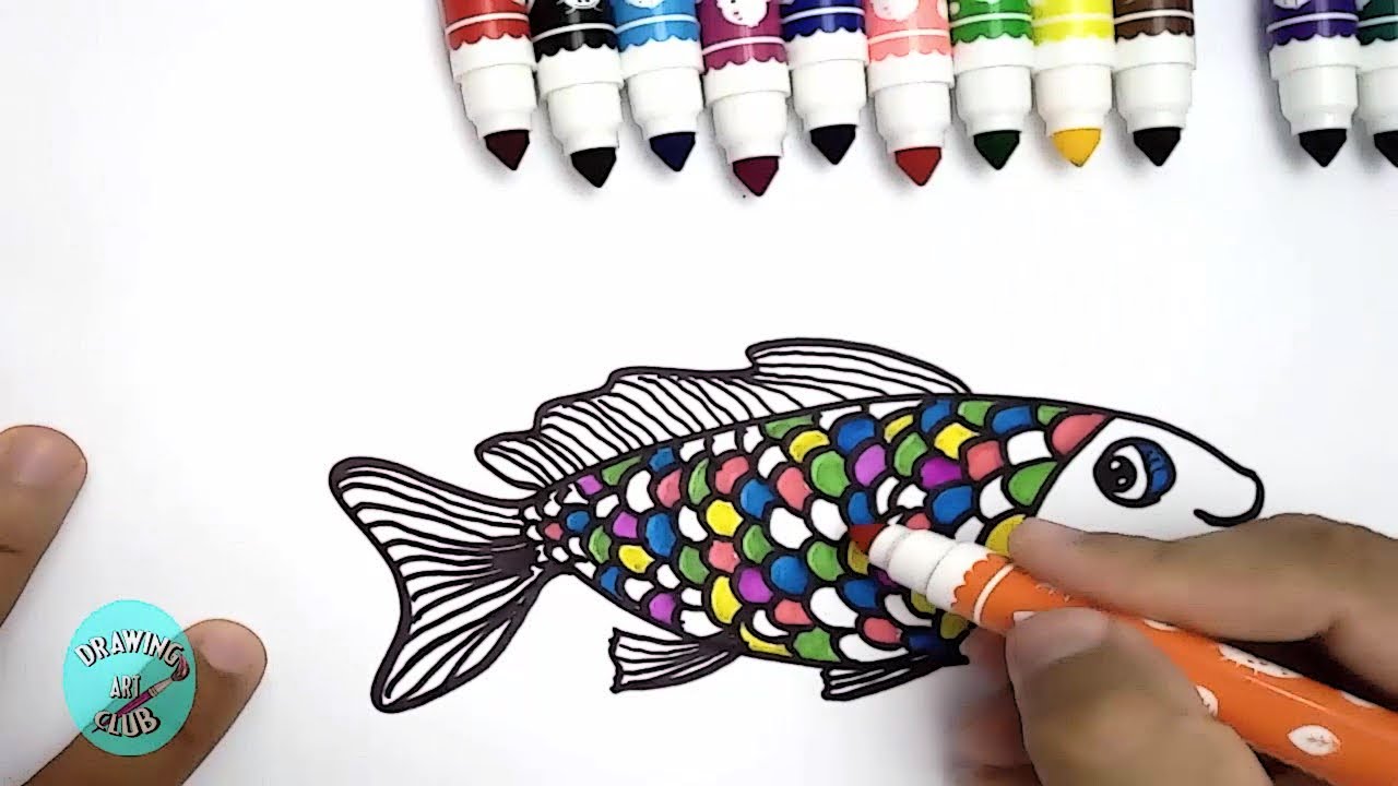 How to draw a rainbow fish and colouring. step by step tutorial