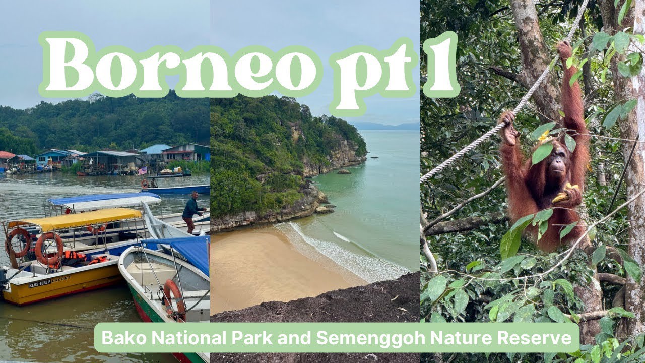 Sarawak, Borneo (Part 1) - Bako National Park & Orangutans at Semenggoh Nature Reserve