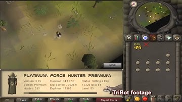[2015] Free Oldschool Runescape Bot - From the makers of RsBuddy and TriBot.