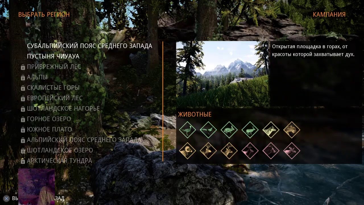 Симулятор охоты PS4