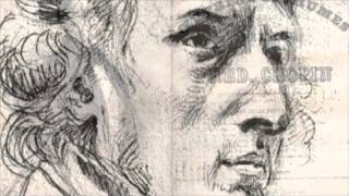 Waltz - Chopin David Tolley
