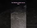 #ghost #horror #ghostarea #natur #para #subscribe #scary #paranormal #fyp #horrorshorts #foryou