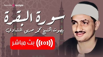 استمع وتدبر | سورة البقرة بصوت خاشع للشيخ محمد صديق المنشاوي | Quran Live
