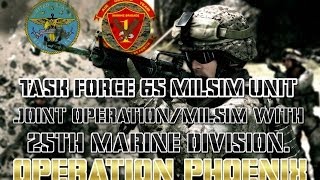 Task Force 65 Joint Operation/Milsim with 25th Marine Division. Operation Phoenix