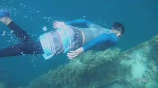 diving at Coron