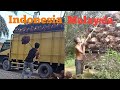 Muat sawit indonesia, Muat sawit malaysia sama saja