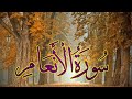تلاوة هادئة من سورة الانعام الآيه ١٣ الى الآيه ٣٥ Quran Karim تلاوة هادئة من سورة الانعام الآيه ١٣ الى الآيه ٣٥ Quran Karim