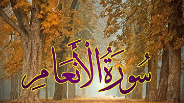 تلاوة هادئة من سورة الانعام الآيه (١٣)الى الآيه(٣٥) Quran karim