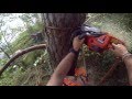 Helicopter Tree Removal in Stockholm Archipelago