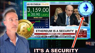 SEC LABELED ETHEREUM A SECURITY. AVAX  STRIPE, BAYC NFT NONSENSE.