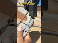 فقدان الاشارة في الجهاز البنفسجية مول البرابول مول البرابول اليورو اكسبلور الكوليرا البنكرياس فقدان الاشارة في الجهاز البنفسجية مول البرابول مول البرابول اليورو اكسبلور الكوليرا البنكرياس