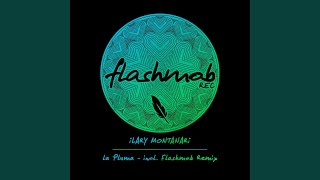 La Pluma (Flashmob Remix)