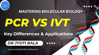 Pcr Vs. In Vitro Transcription Differences And Applications Mastering Molecular Biology Pcr Vs Ivt