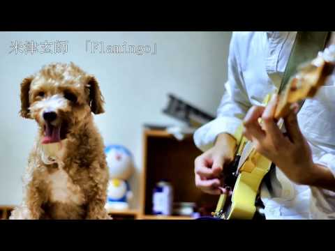 米津玄師 「Flamingo」（カバー）