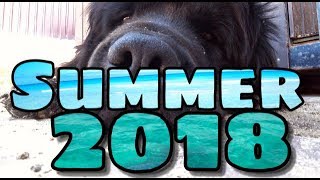 SUMMER 2018☀️ || КЛИП К ОКОНЧАНИЮ ЛЕТА || HAPPY PETS || Calvin Harris-Summer SUMMER 2018☀️ || КЛИП К ОКОНЧАНИЮ ЛЕТА || HAPPY PETS || Calvin Harris-Summer