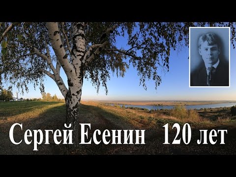 Video: Jesu li pjesnici laureati plaćeni?