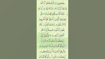 آيات من القرآن الكريم 💞 سورة الزمر 💞 الآية 53