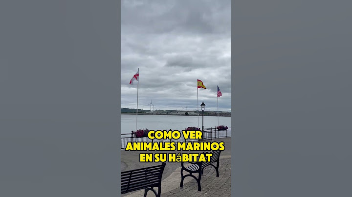 La última parada dEl Titanic”🇮🇪 #irlanda #viajeros #cork #viralvideo #titanic #ireland
