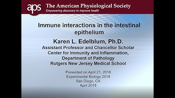 Immune Interactions in the Intestinal Epithelium – 2018 Refresher Course Pt 4