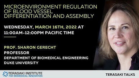 Microenvironment Regulation of Blood Vessel Differentiation and Assembly - Terasaki Talk