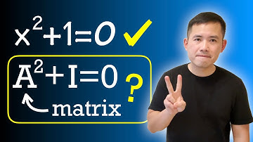 Can A^2+I=0?