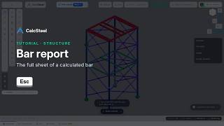 Bar report in CalcSteel: Structure tab tutorial
