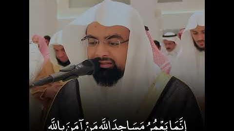 (إِنَّمَا يَعْمُرُ مَسَاجِدَ اللَّهِ مَنْ آمَنَ) من أحسن تلاوات #القطامي 🤔🤔