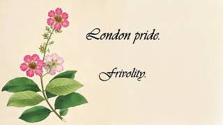 London Pride  - The Language of Flowers