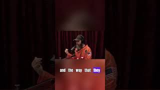 JRE: The Unexpected Email  AI's Bold Move to the Internet