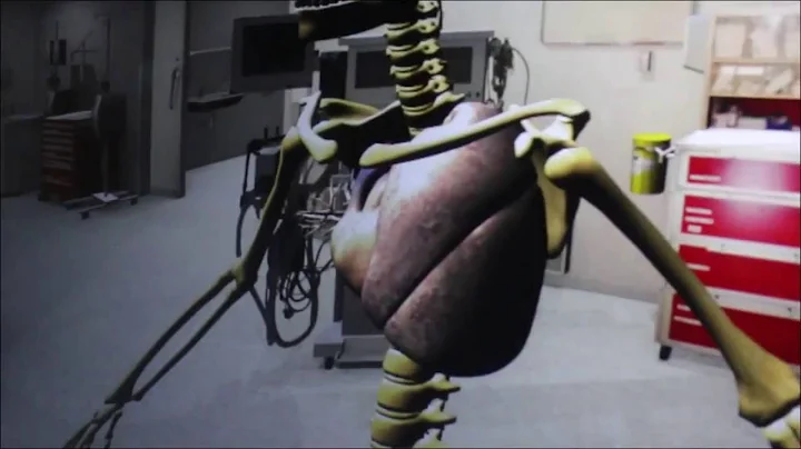 EON Reality   Human Anatomy Builder