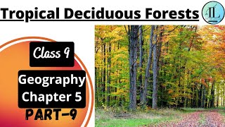 Tropical Deciduous Forests | Natural Vegetation and wildlife | Class 9 Geography Chapter 5 |UPSC
