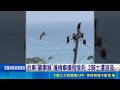 獼猴突然竄出！台東肇事猴衝出撞機車慘死 兩騎士摔車送醫｜三立新聞LIVE