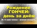 Сюжет 26. О силе голоса - мнение эксперта. Часть вторая: 6 или 7 ?