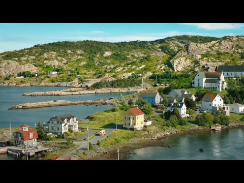 Newfoundland and Labrador tourism hit hard by COVID-19