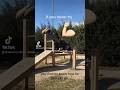 Mi primer Elbow Lever 🔥 Control y equilibrio #calistenia #streetworkout #fitness #delacourfit