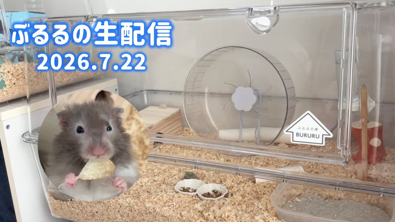 2026.7.22【ぶるる】pm2:00 - YouTube
