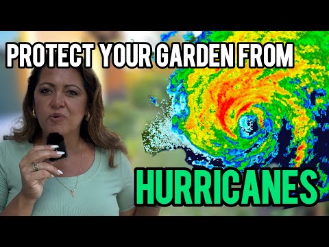 Storm Resistant Landscaping: How to Design a Yard That Fights Back