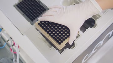 MBA automatization - "image" video